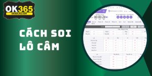 Lô Câm - Tìm Hiểu Cách Soi Cầu Lô Câm Tại OK365