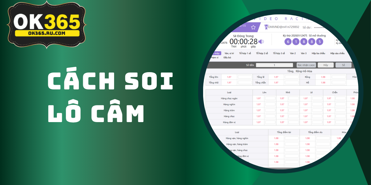 Lô Câm - Tìm Hiểu Cách Soi Cầu Lô Câm Tại OK365